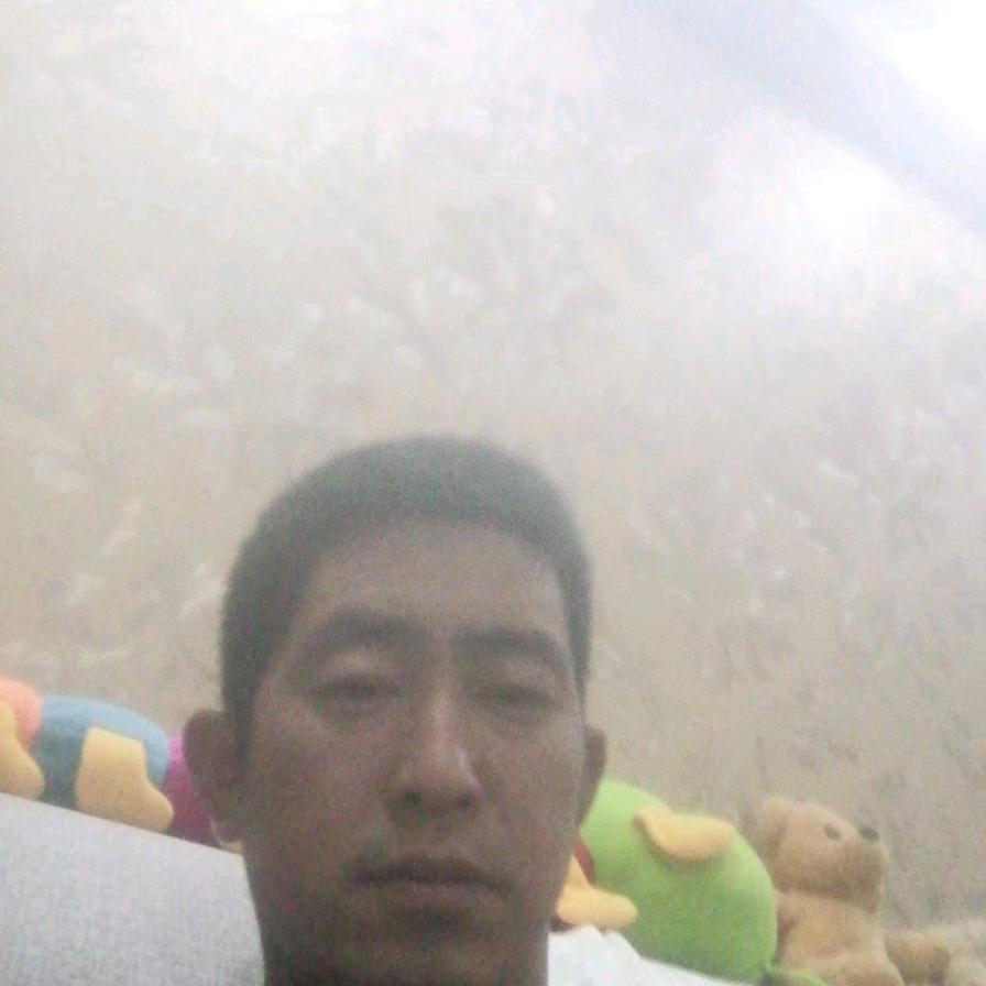 茂子