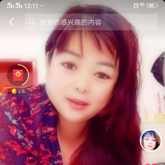 郁金香🌷