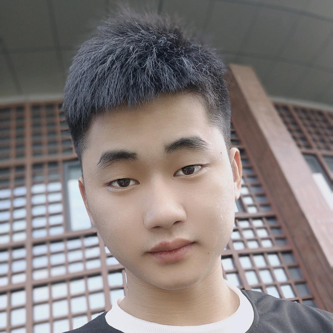 爱玩王者的小伍子