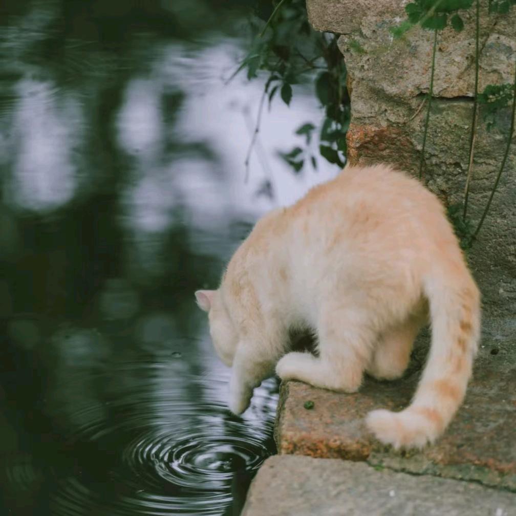 本初君  📷