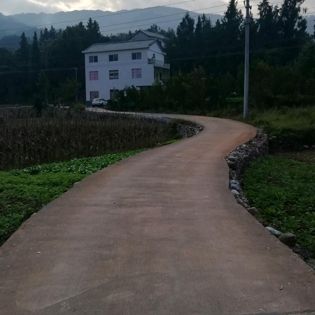 张哥
