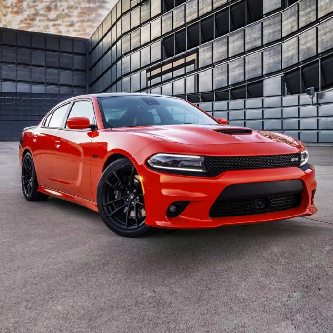 驾校学车菠萝教练