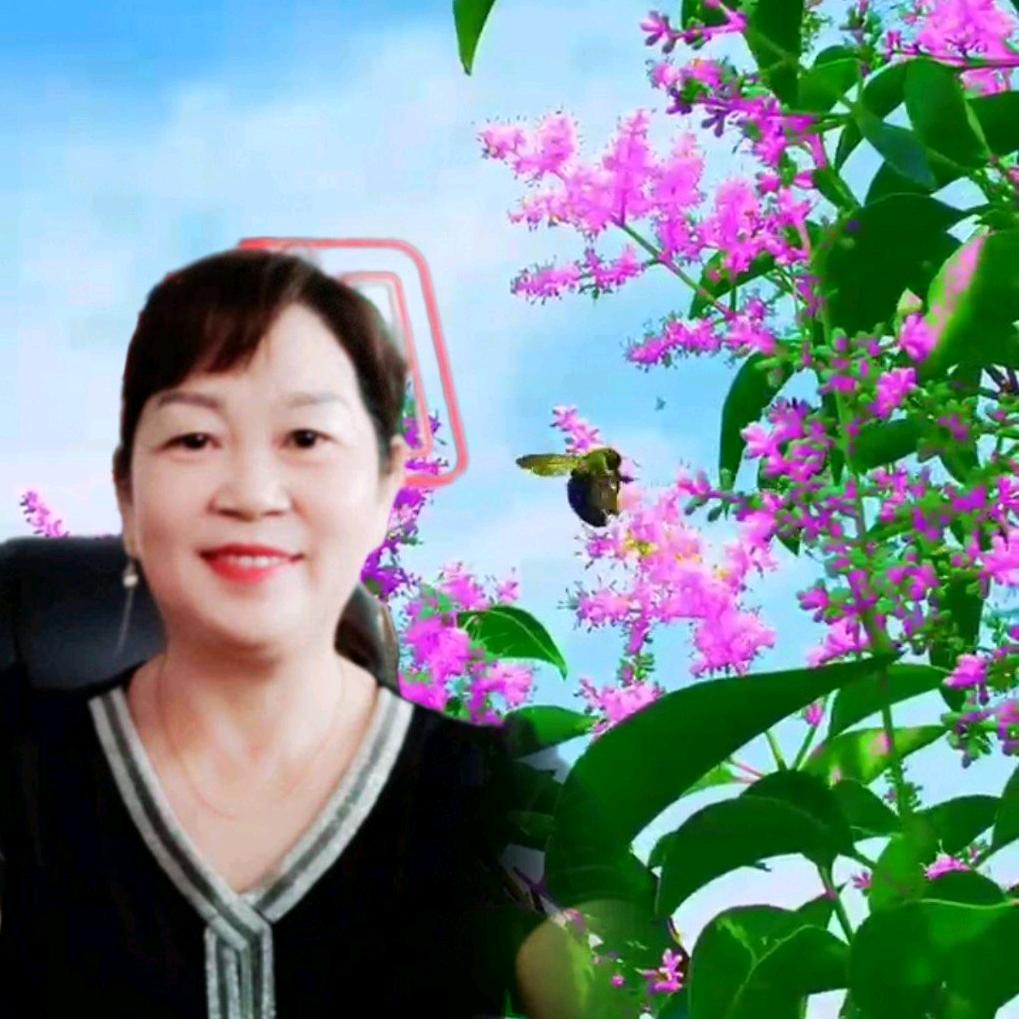 刘茶英🌸