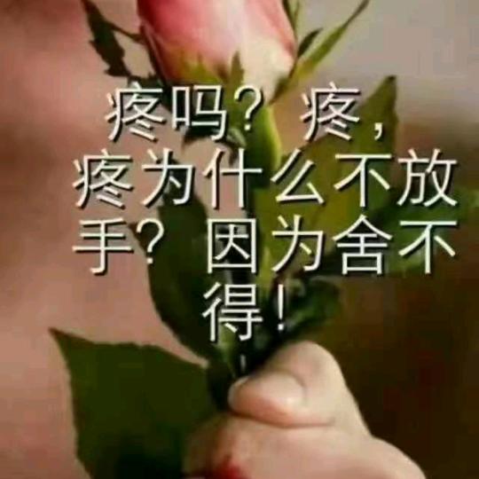 如烟往事