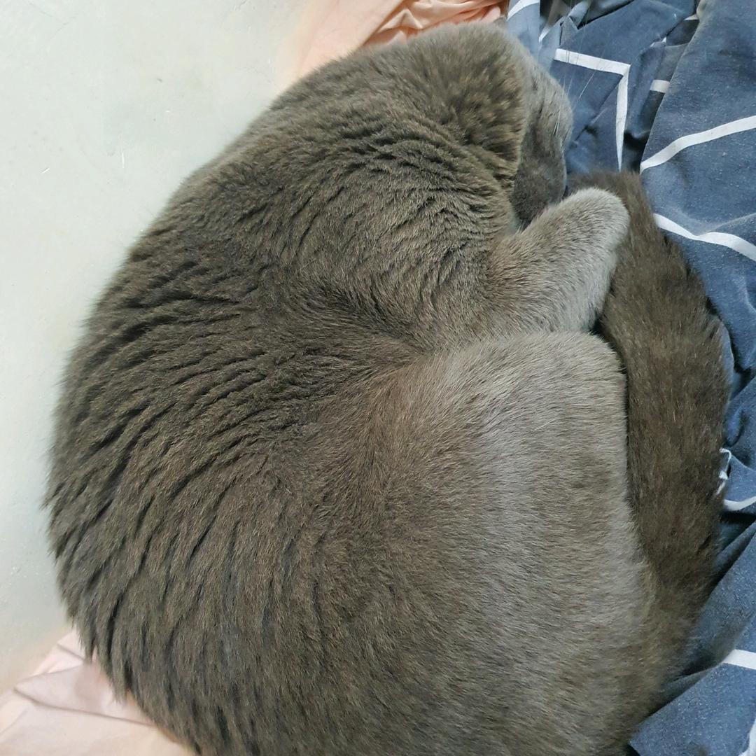 ＂有点马
