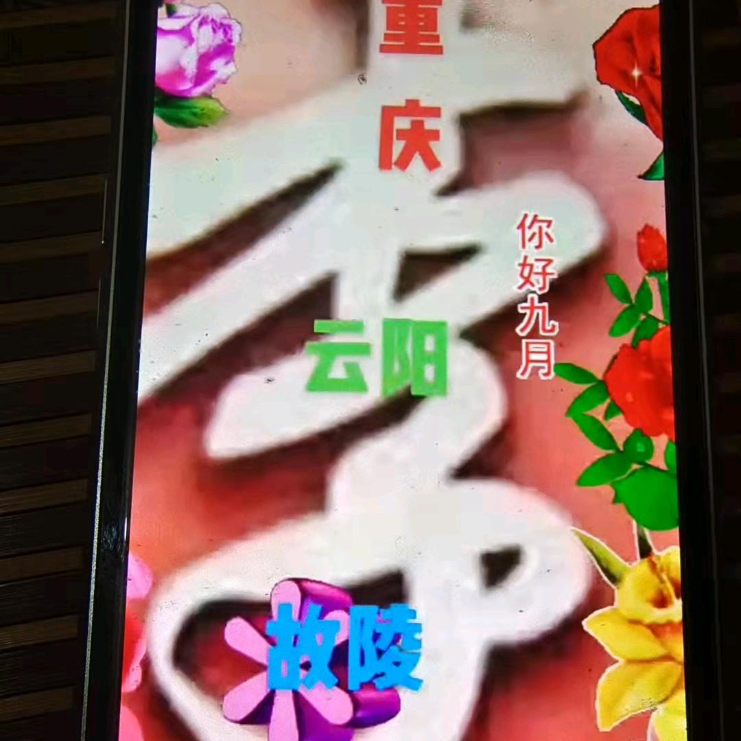 重庆人