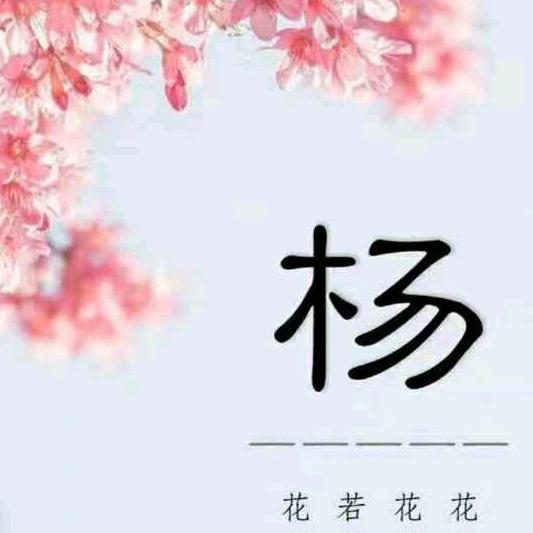 文文