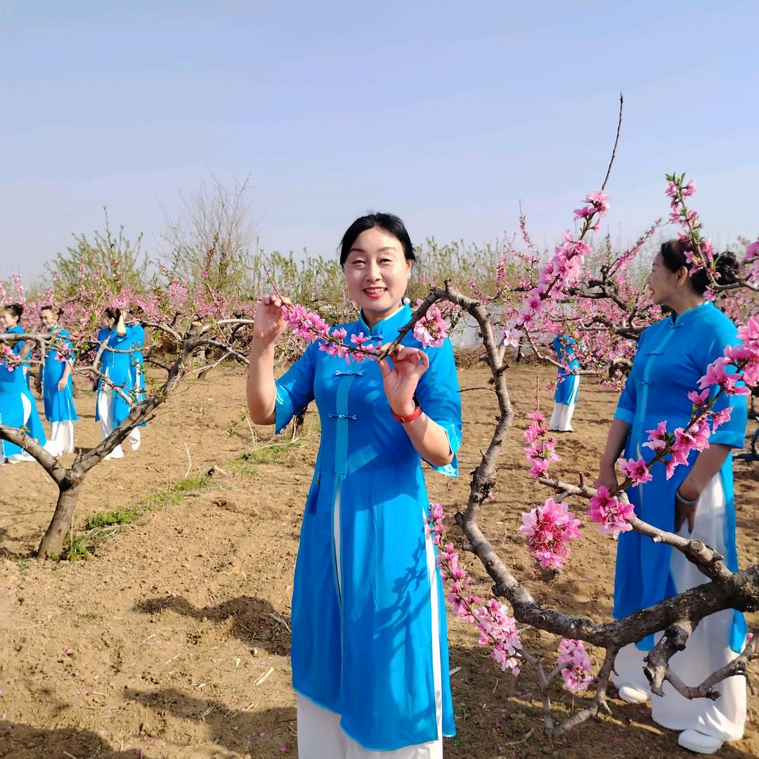 完美健康顾问师