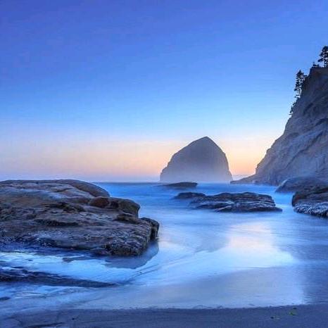 骑着蚂蚁闯人间