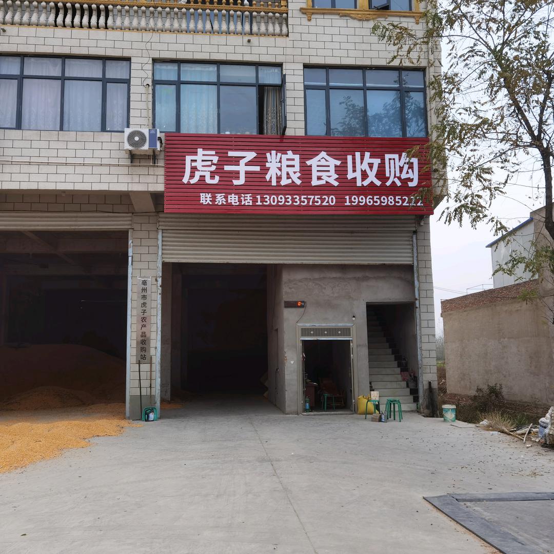 虎子粮食收购