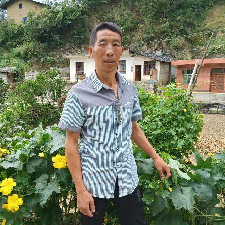 落叶知秋
