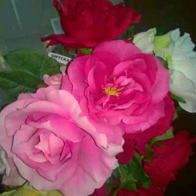 云飞云梦云峥奶奶