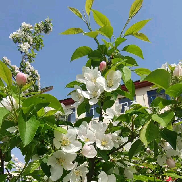 💋ꦿ沉默꧔ꦿ᭄࿐ᩚ