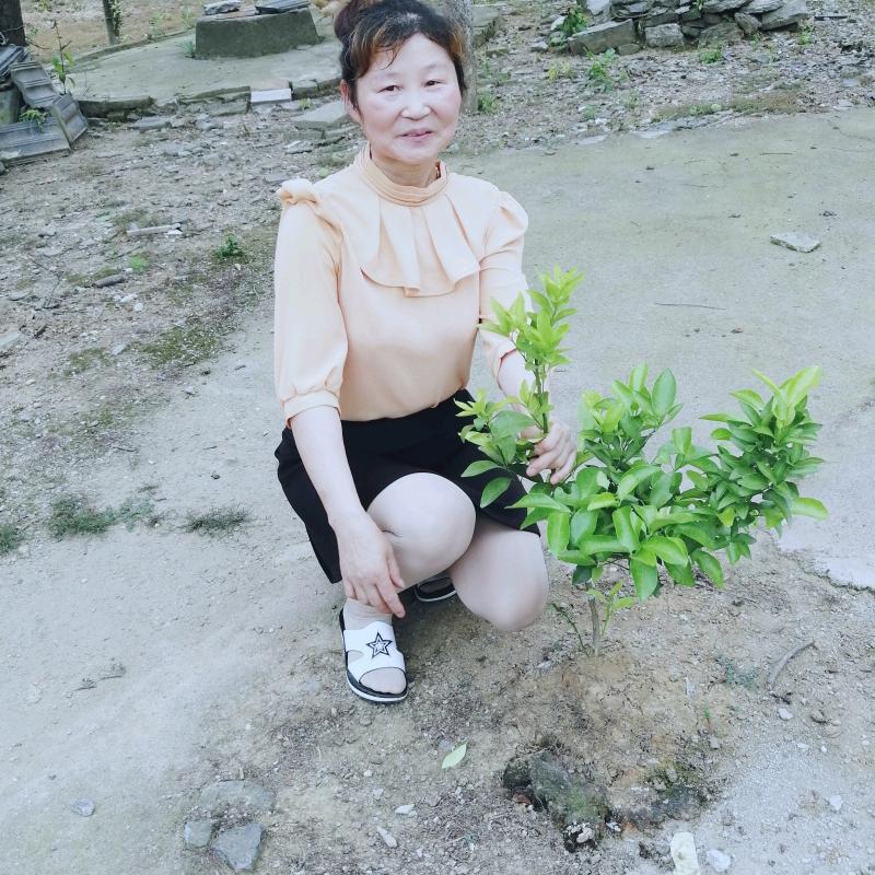 龙建菊