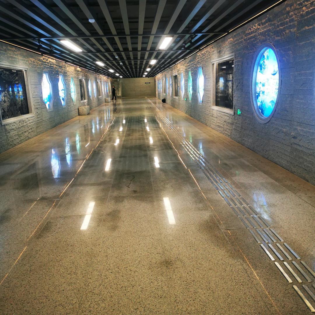 老鼠扛刀满街找猫