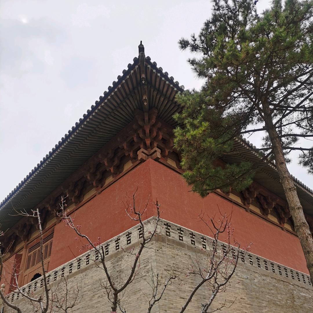 安安