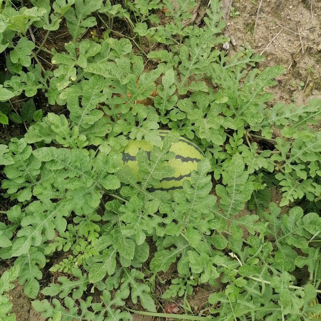 欢迎新老客户来电合作