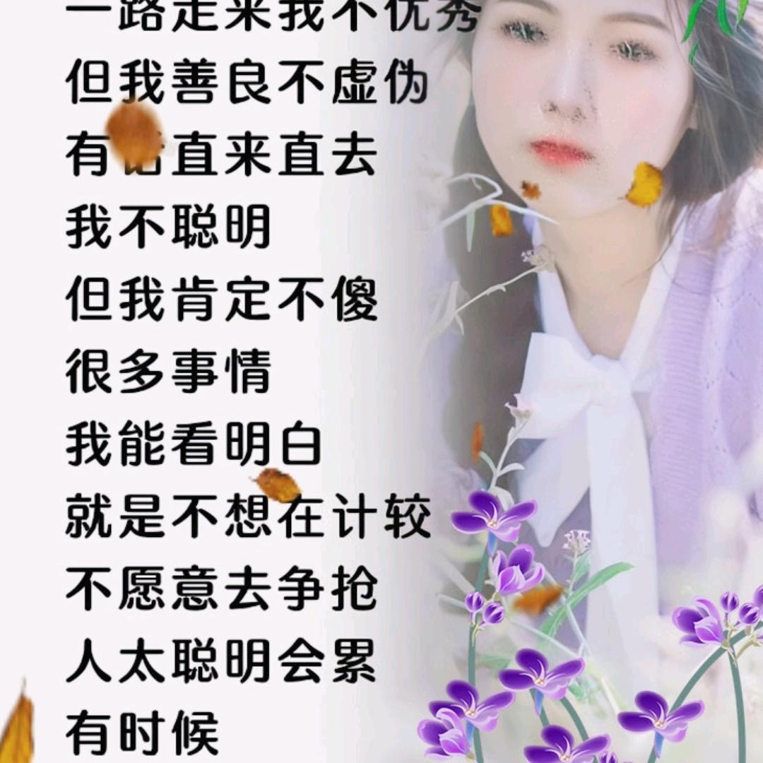 我是郑四姐
