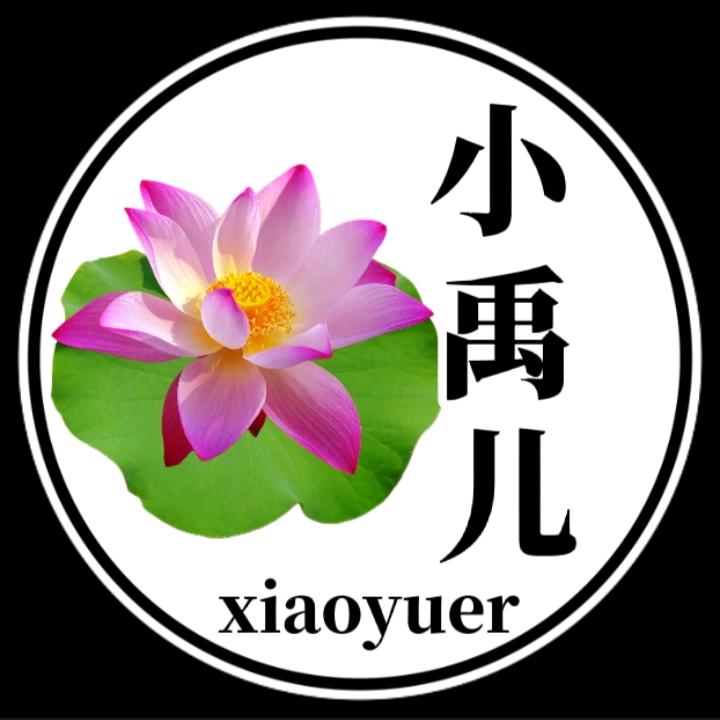 小禹儿