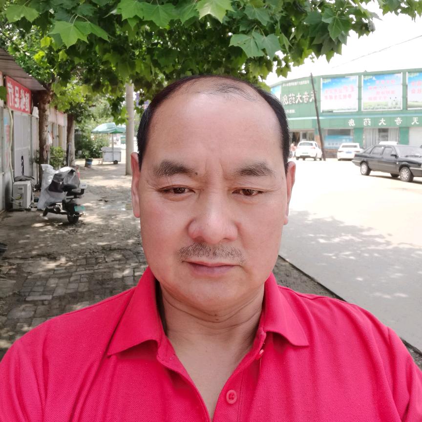 老家黄顺堤