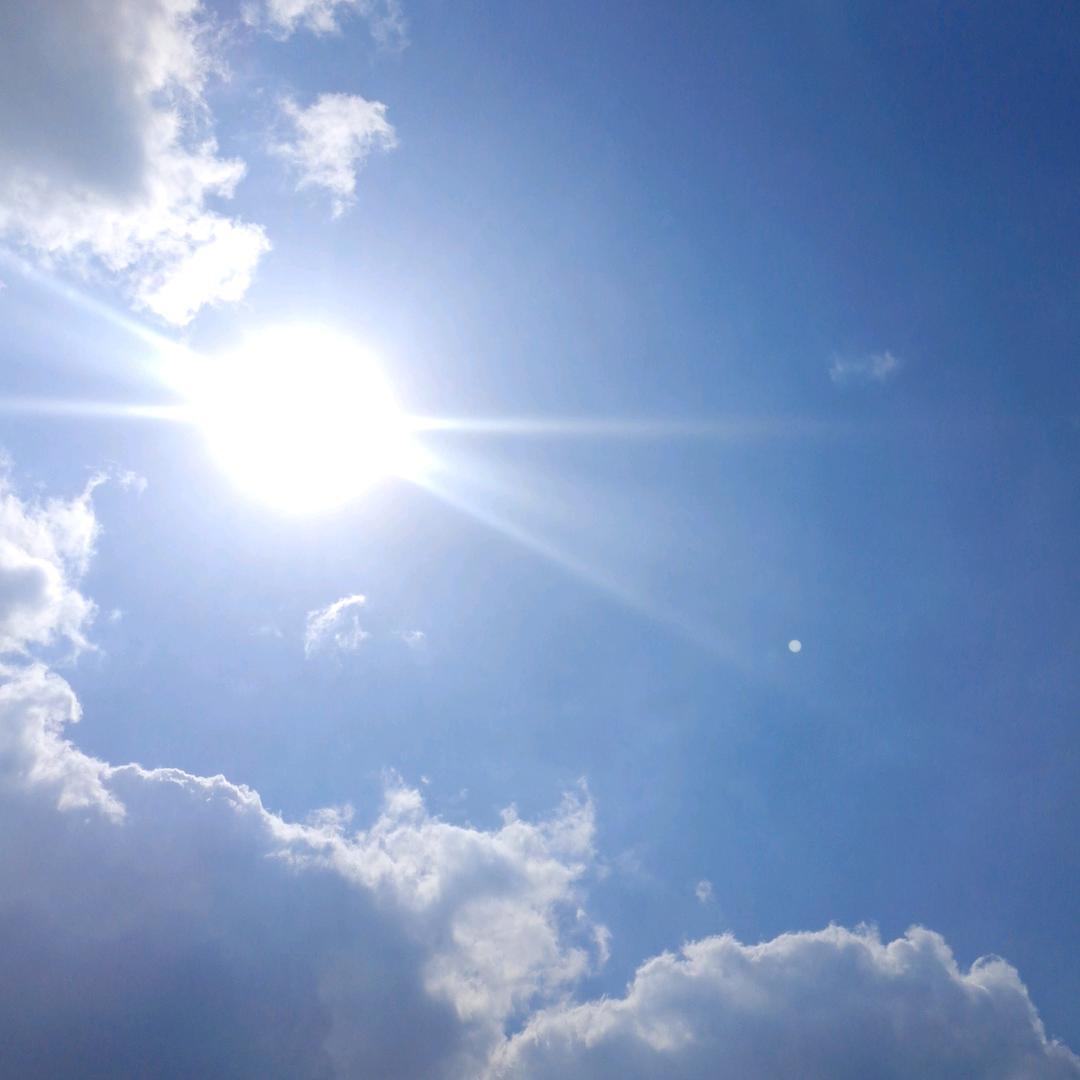 颗粒原材料回收（废旧木材刨花锯末）