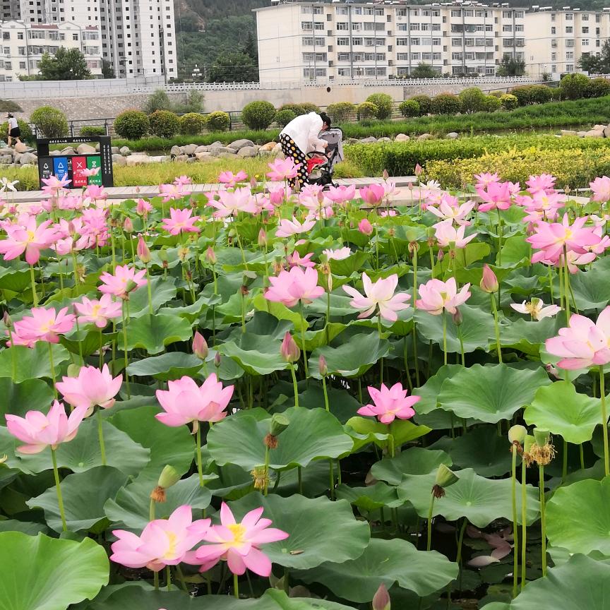 轻松自在