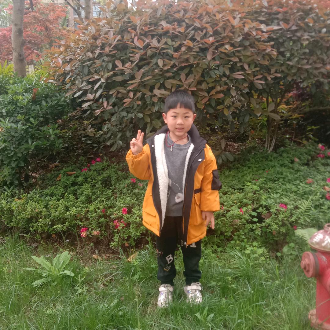 谢老四家居装饰