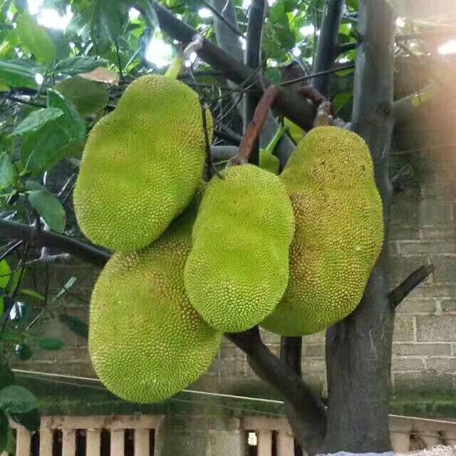 心中有苦对谁说😂？