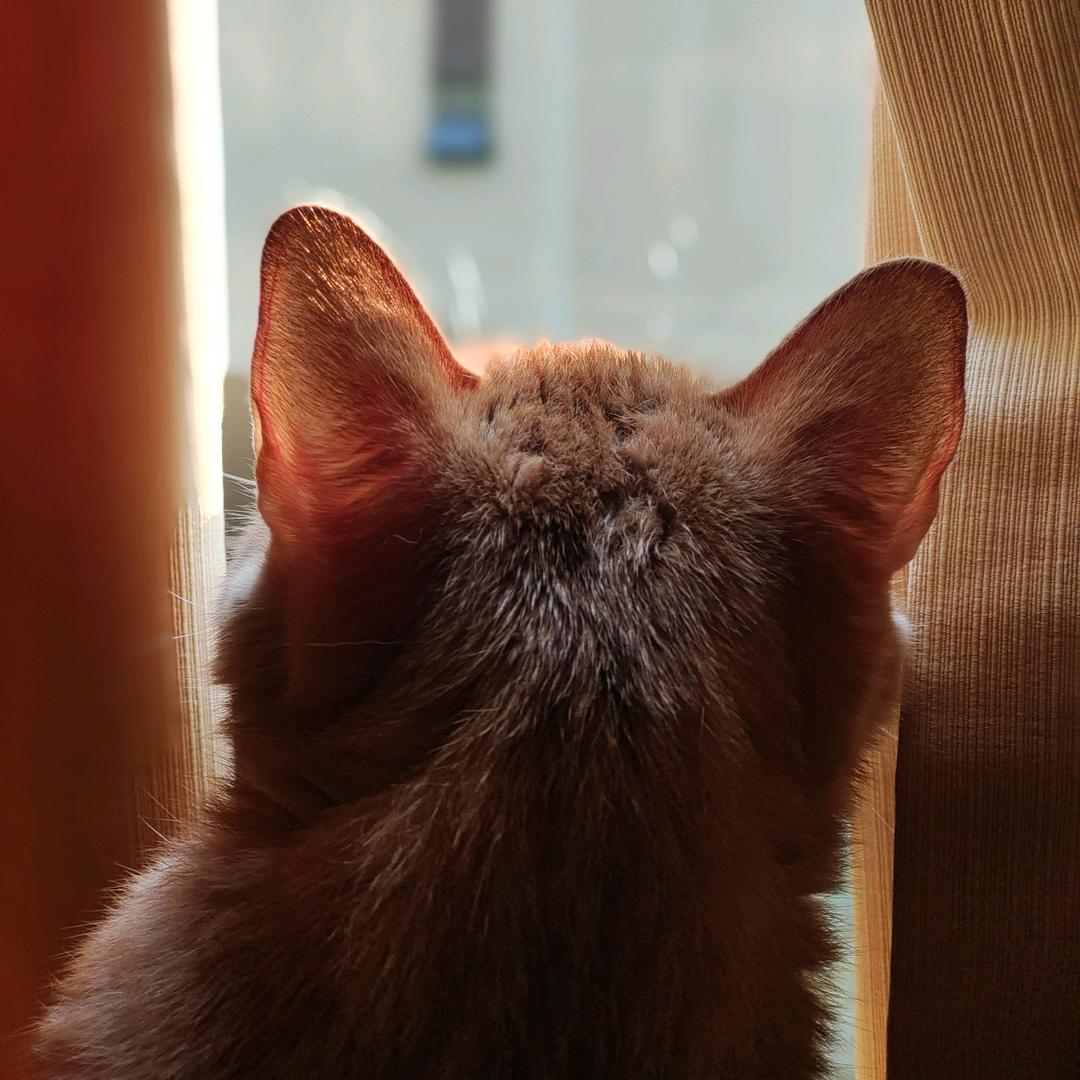 、秋秋秋