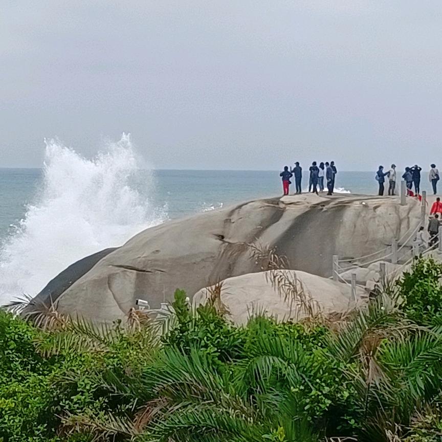河西行头像