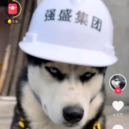 门窗咨询师，老高