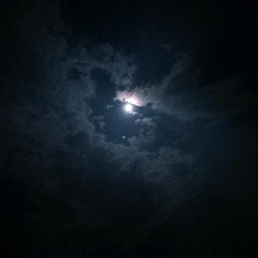 大熊猫哈哈哈哈