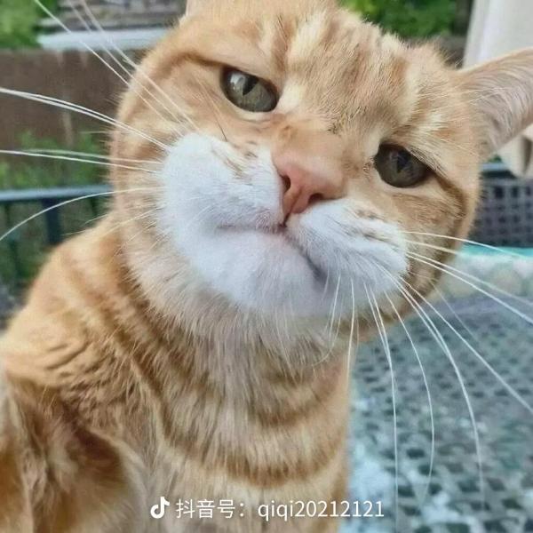 ☞涛涛☜