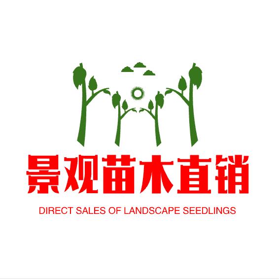 🌺景观苗木种植基地♥️