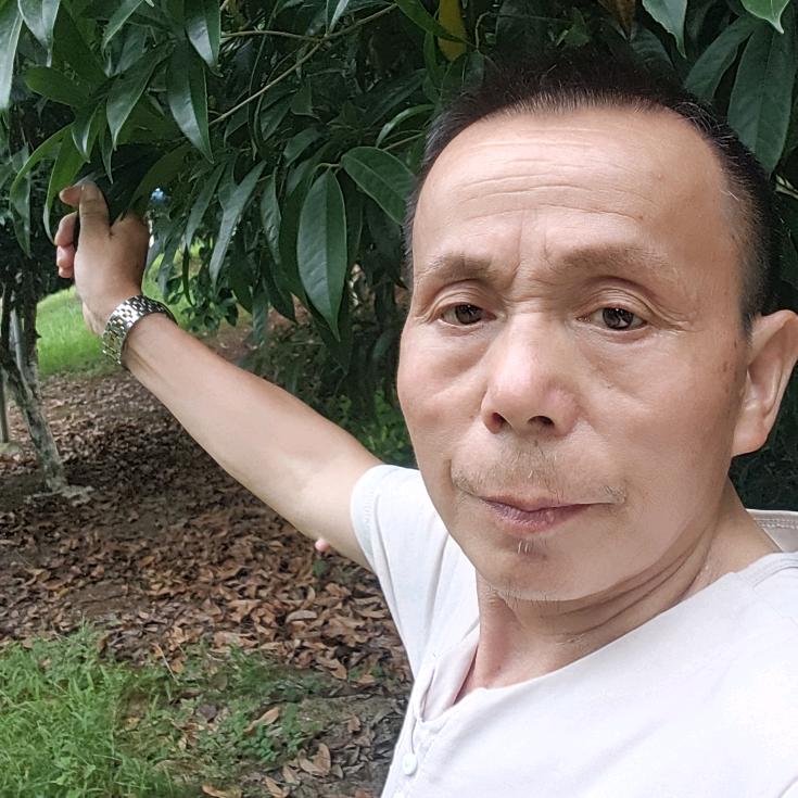 真情难忘