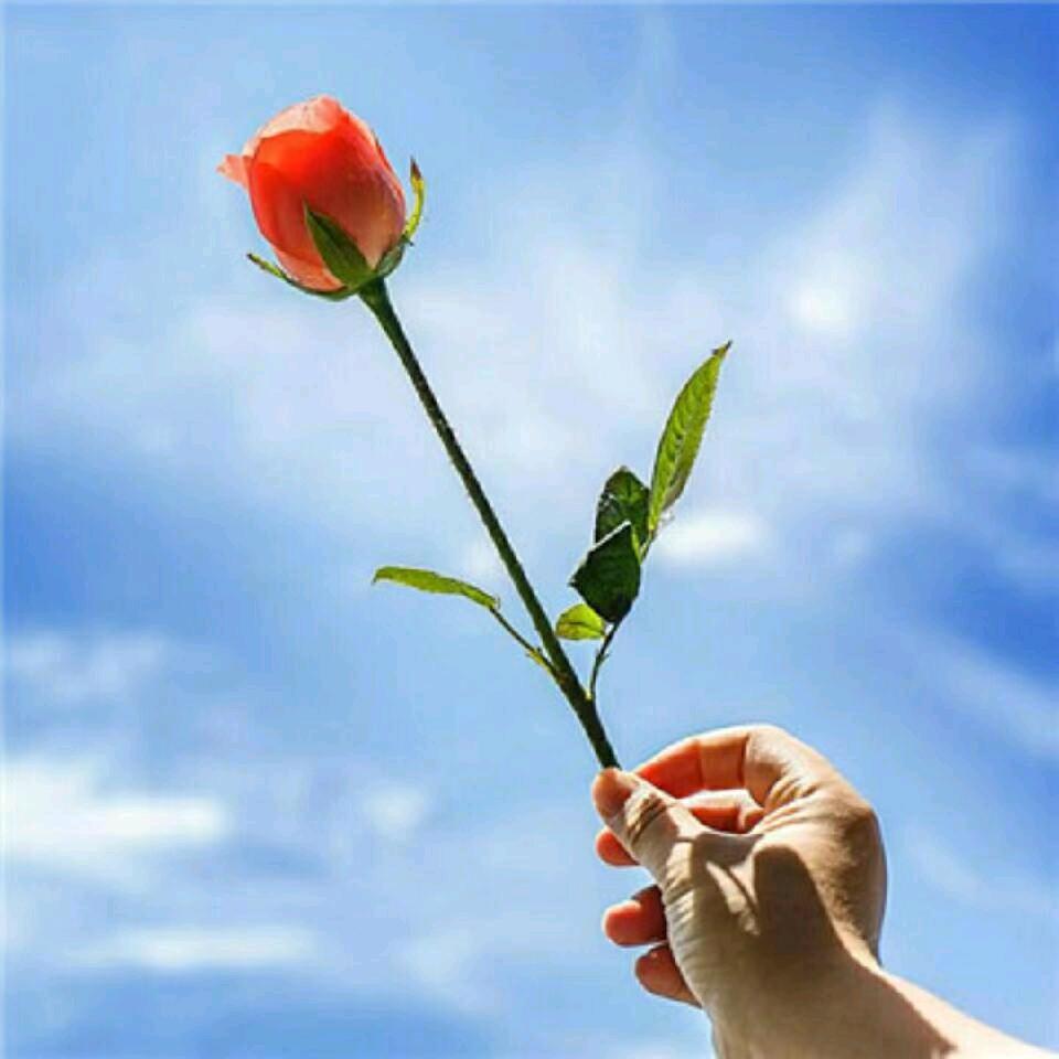 🍎萍水相逢🍎