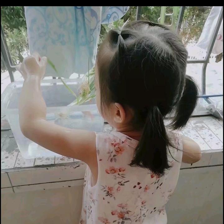 赵兄弟✊