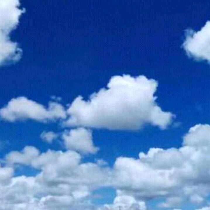 张喵喵