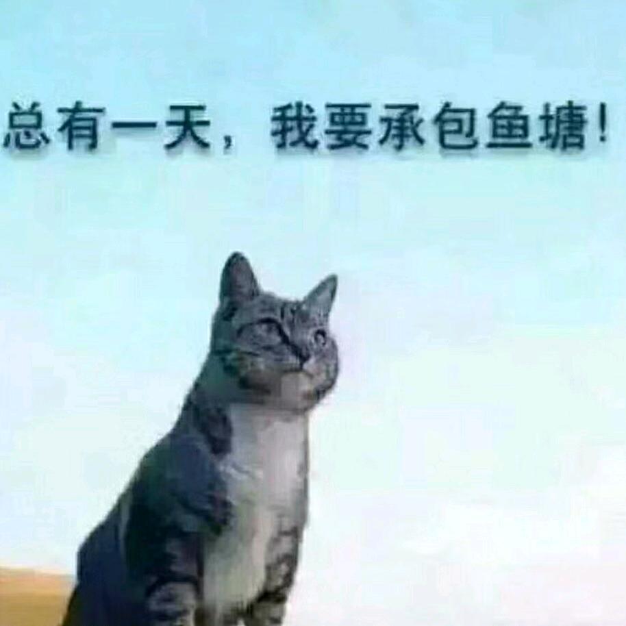 @Mr·郑🇨🇳