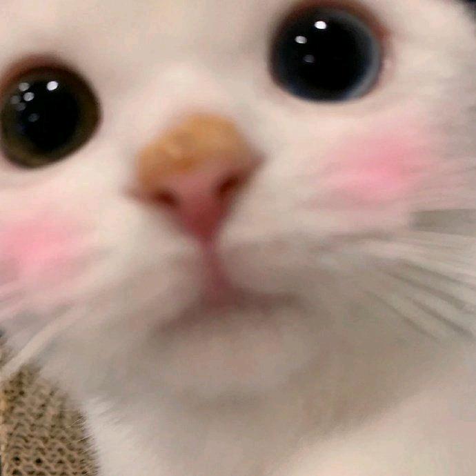 学人精