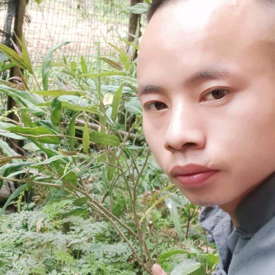民间(传承人)