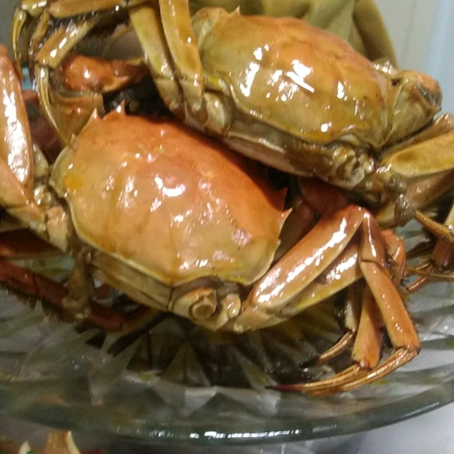 申一根