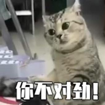 事、物 调查