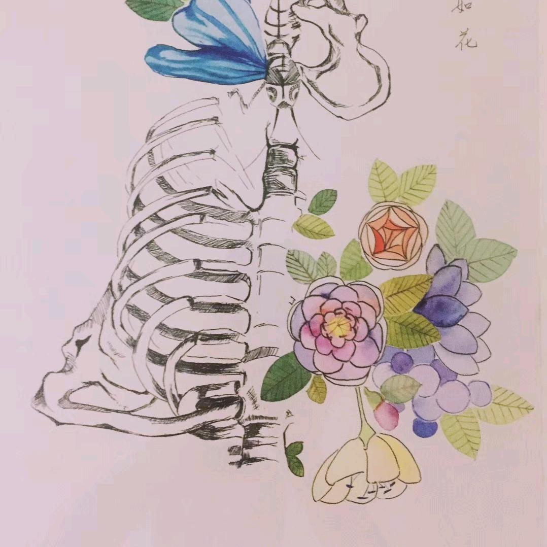 落叶超人