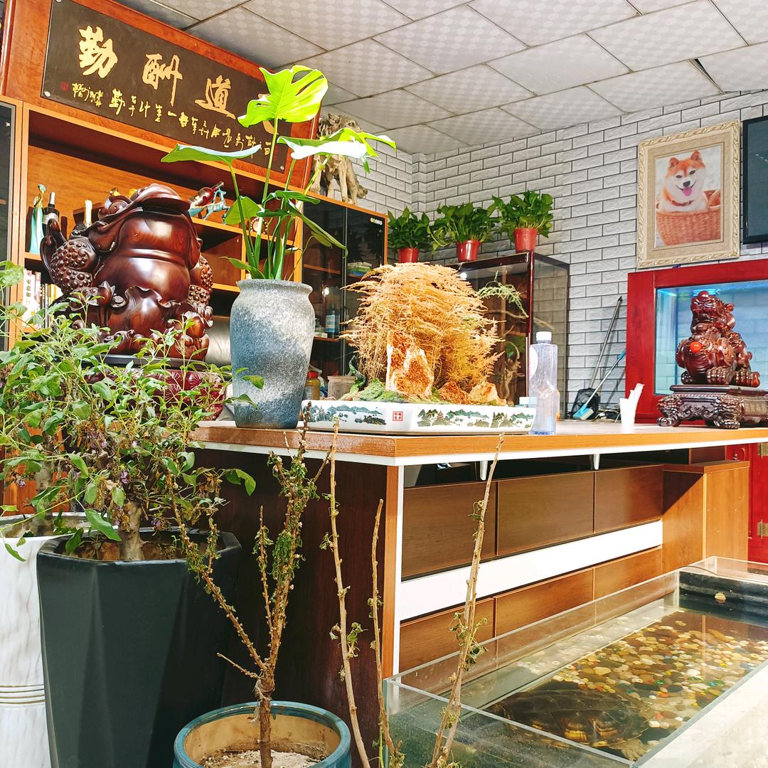 银川宠物繁殖基地