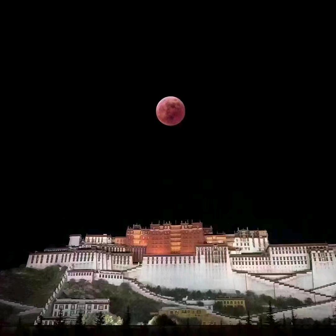 上学走远了点