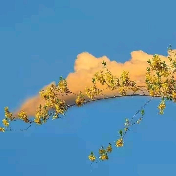 德信