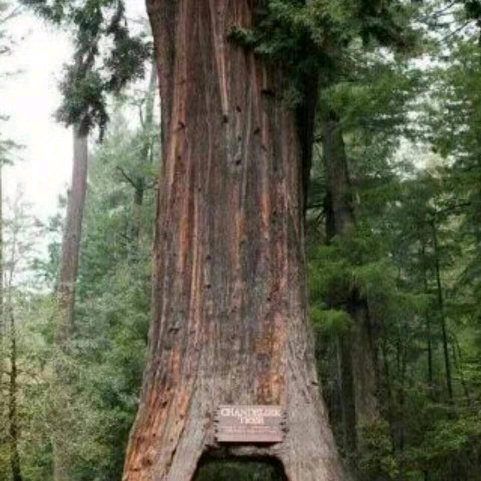 老王，回收门窗，护栏