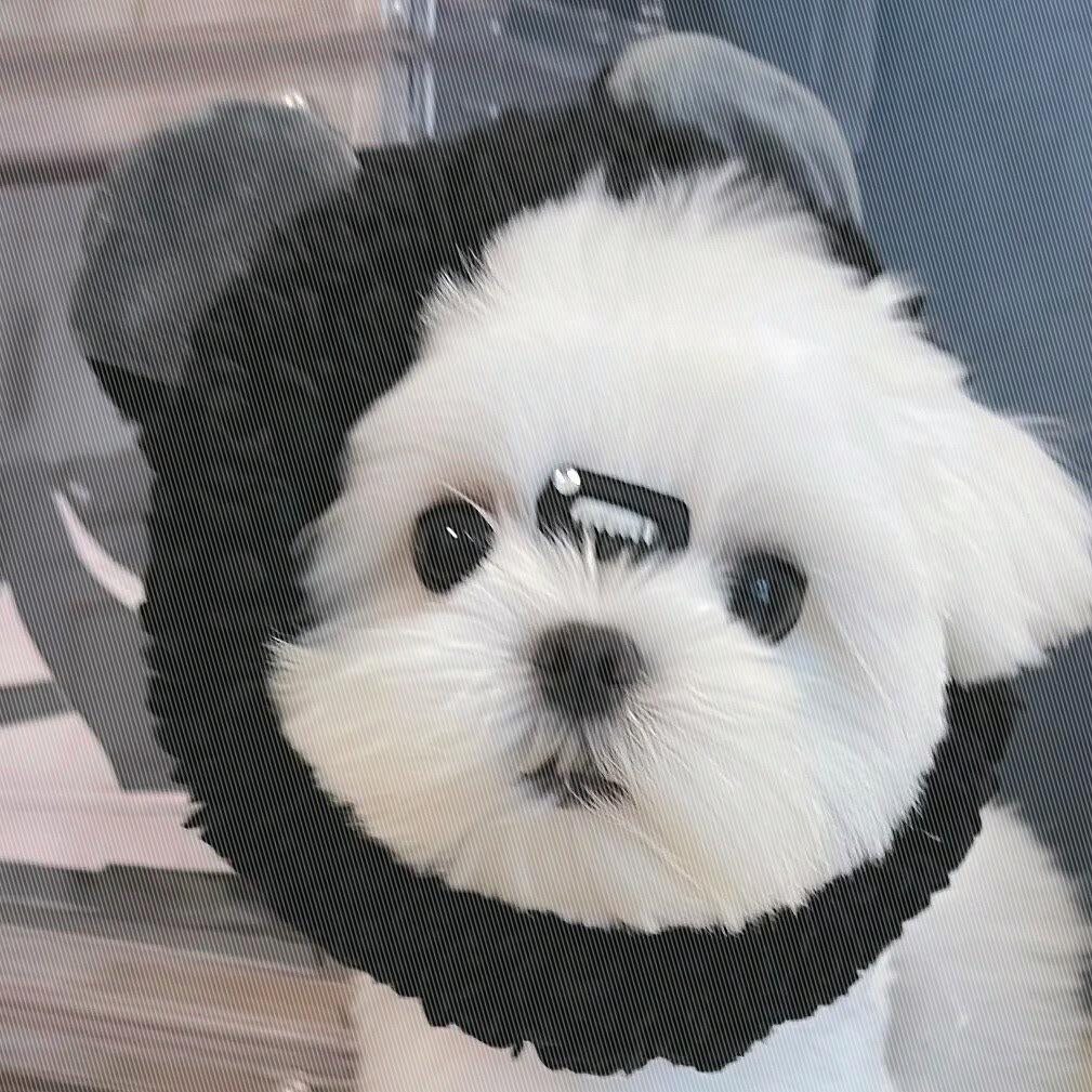 我蕊