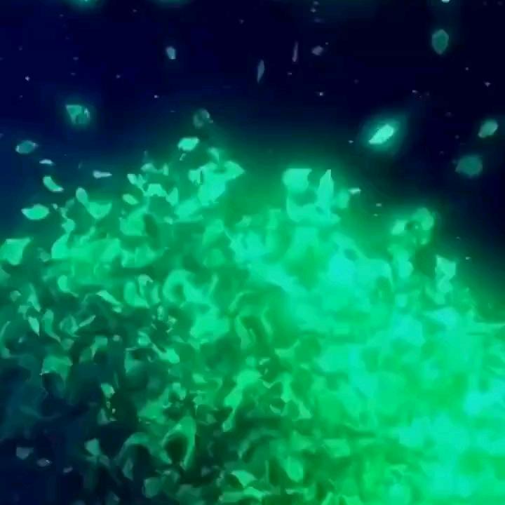 遗忘